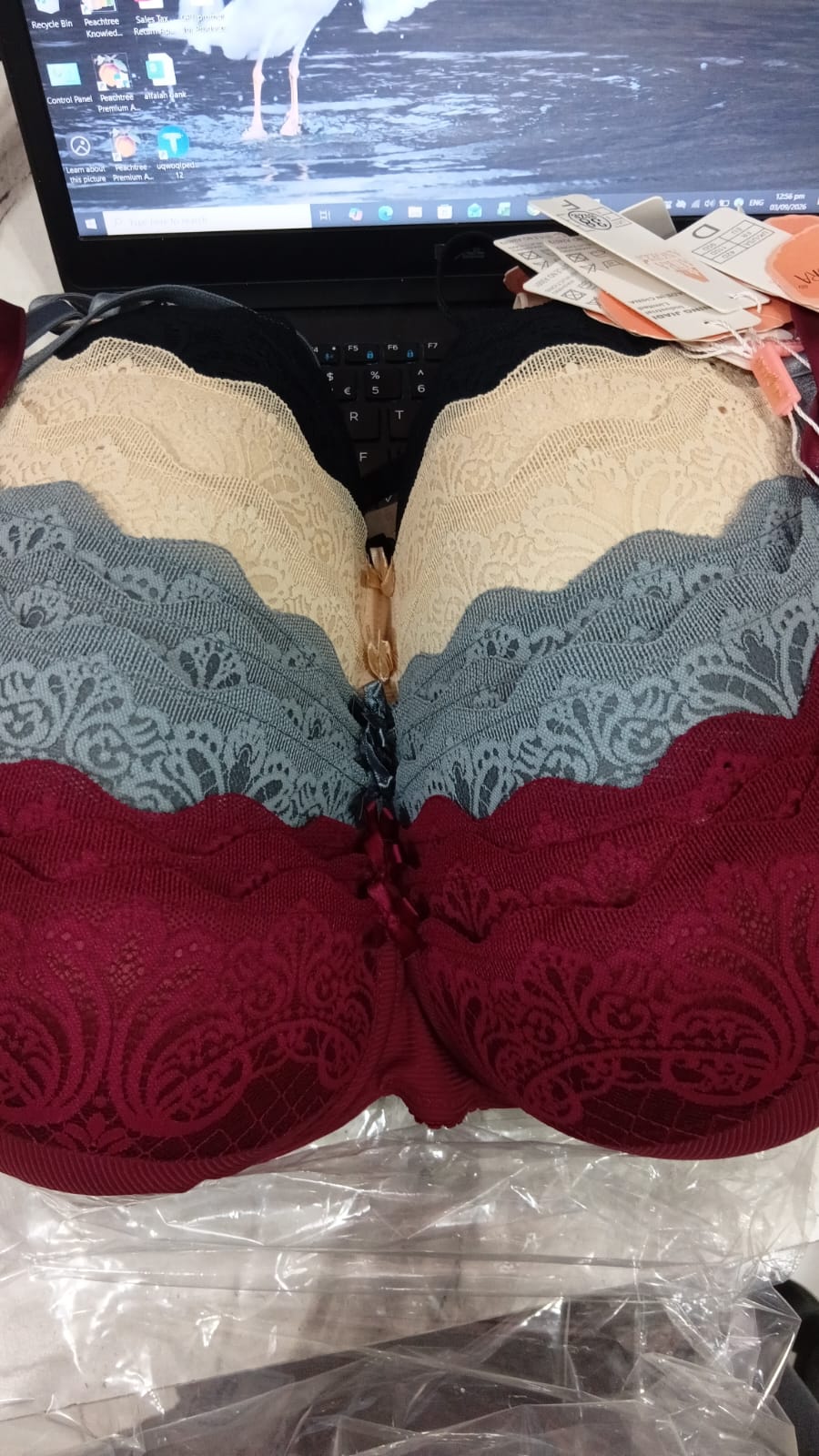 Beisdanna Lace Bra & Panty Set for Women – Soft Comfortable Lace Set (Multi Colours)