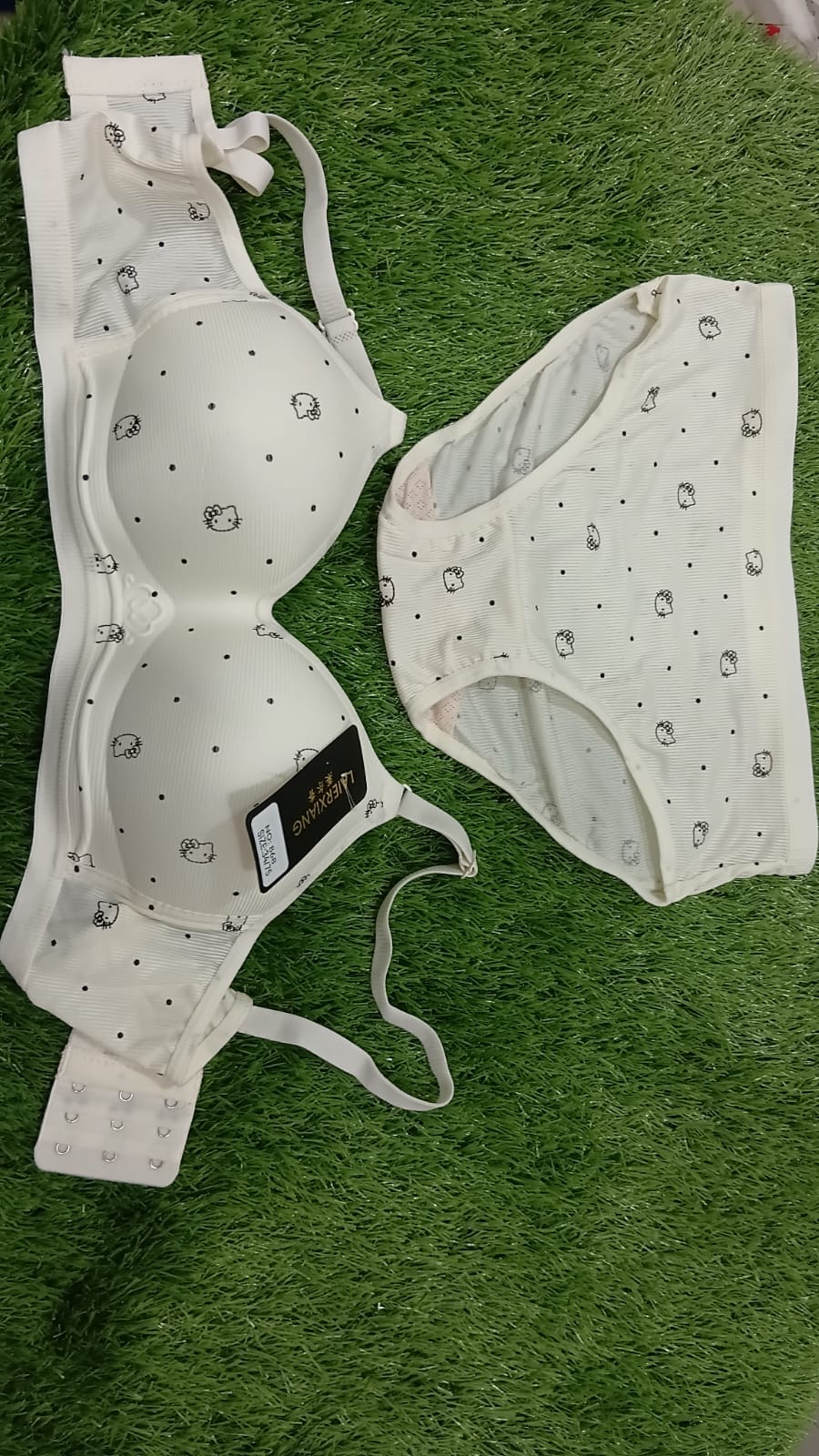 Laierxiang Bra & Panty Set for Women – Soft Comfortable (Multi Colours)