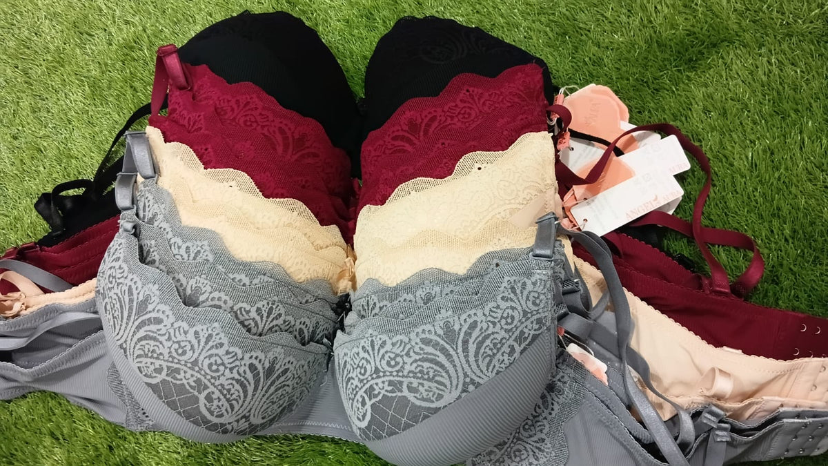 Angels Aura Padded Lace Bra for Women – Comfortable Daily Wear (Multi Colours)